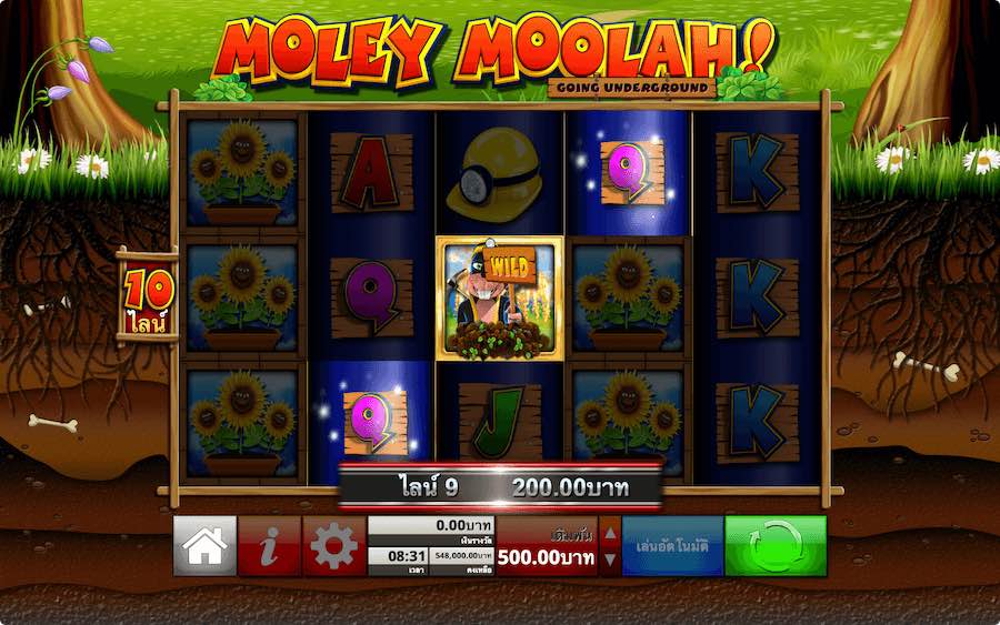 MOLEY MOOLAH SLOT คุณสมบัติของเกมพื้นฐาน
